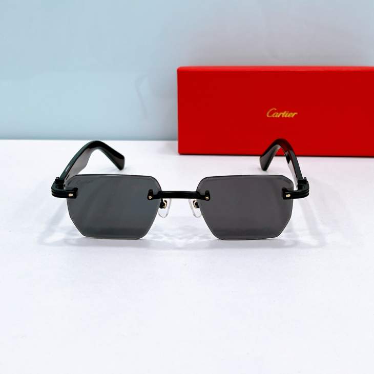 Picture of Cartier Sunglasses _SKUfw79566755fw